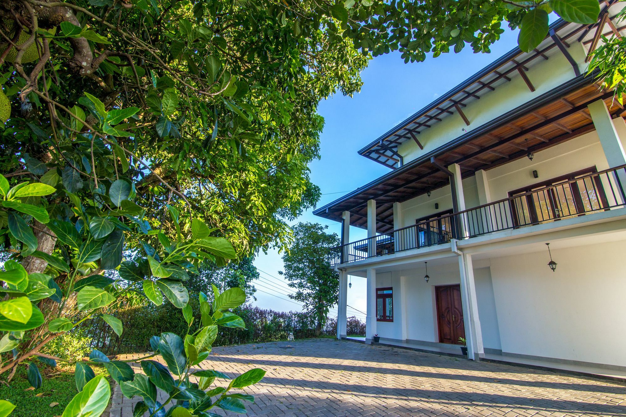 Jack Tree Lodge Kandy Exterior foto